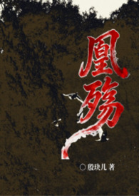 凰凤小说